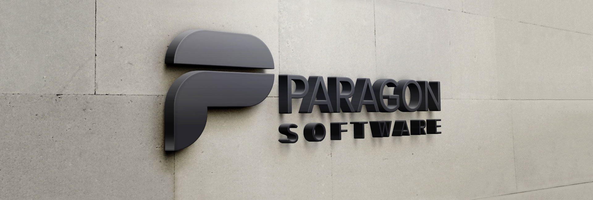 General terms and conditions Paragon Software Group